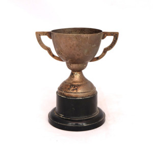 il_570xN.995455364_fq5x