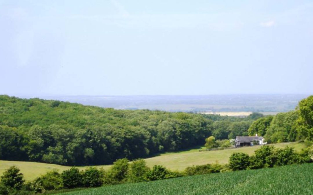 Looking down the wooded Chiltern scarp towards the vale and river Thames