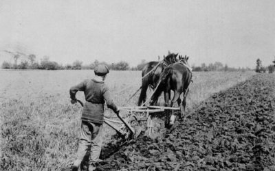 Environment, emotions, and experience: child migration in the nineteenth and twentieth centuries