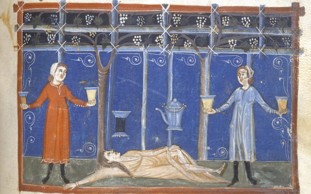 Manuscript illumination: 'Drunken woman' at a vineyard