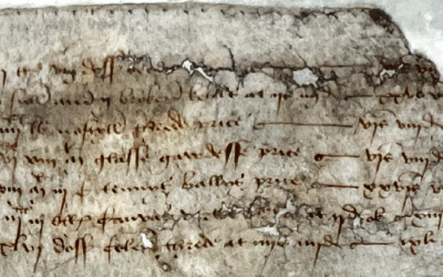 Protected: London’s Surprising Medieval Ban on Tennis Balls