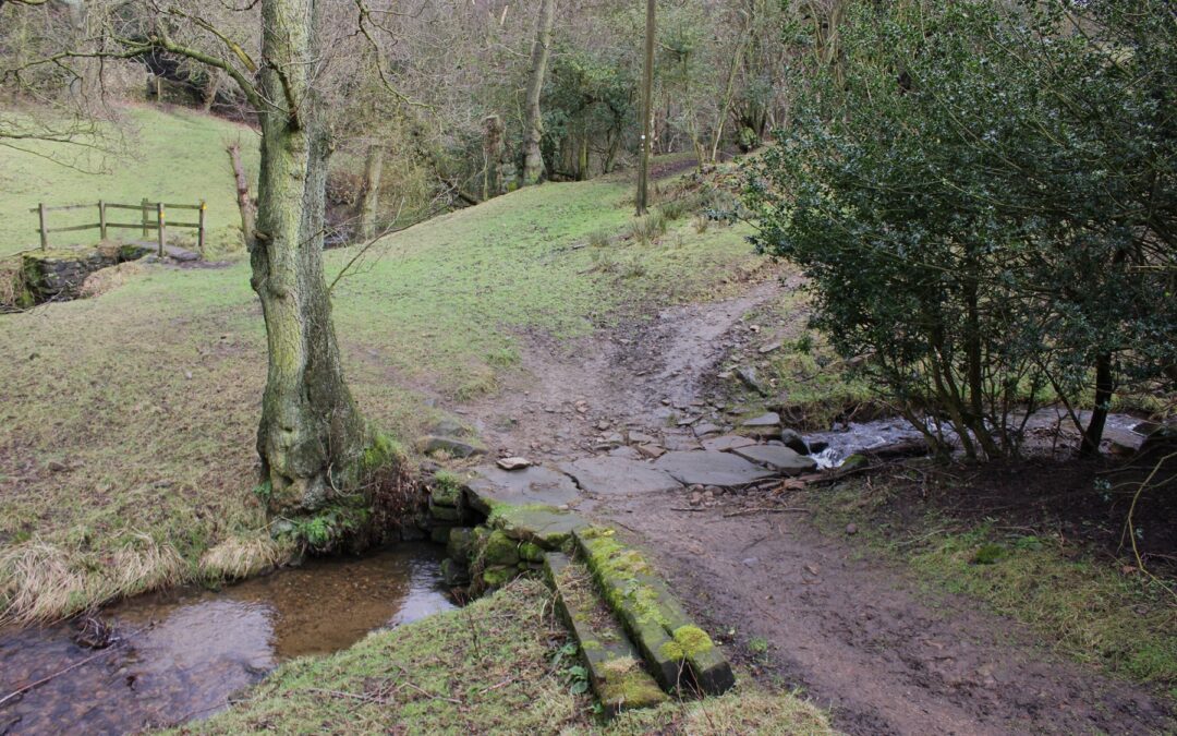 Protected: Blog Post: Pathways, Environmental History, and BBIH 
