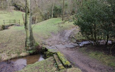 Protected: Blog Post: Pathways, Environmental History, and BBIH 